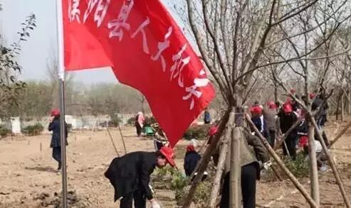 QQ圖片20160405070458.jpg