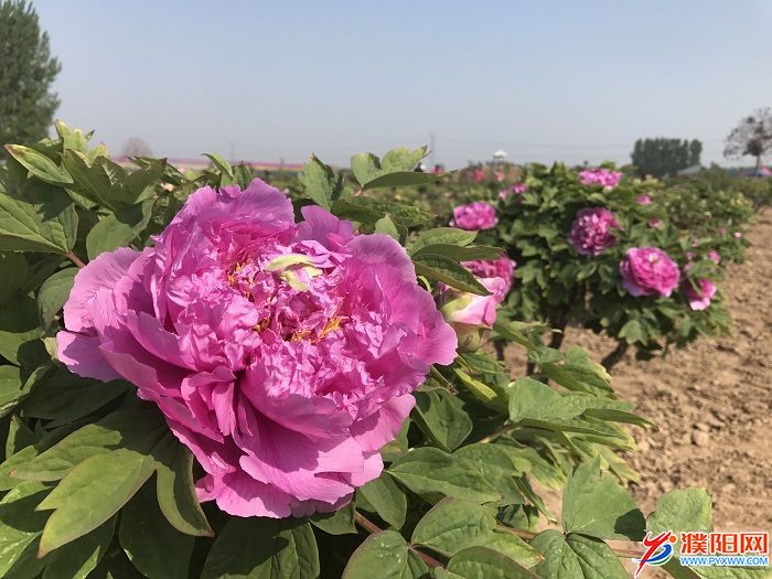 微信圖片_20190416163708.jpg