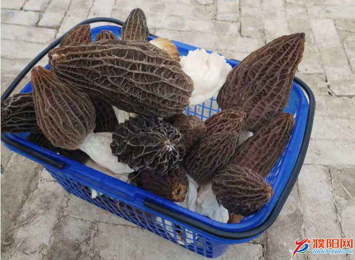 微信圖片_20210315165501.png