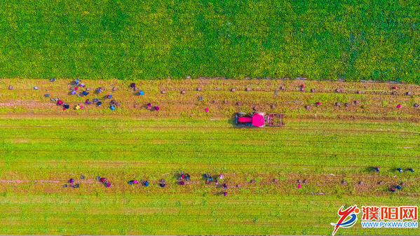 1600735620(1).png