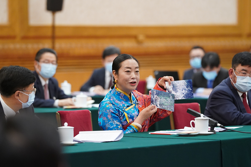 2021年3月7日，習(xí)近平總書記在參加十三屆全國人大四次會議青海代表團審議時，全國人大代表孔慶菊在會上展示了兩張照片，上面分別是祁連山地區(qū)多年不見蹤跡的雪豹和荒漠貓。