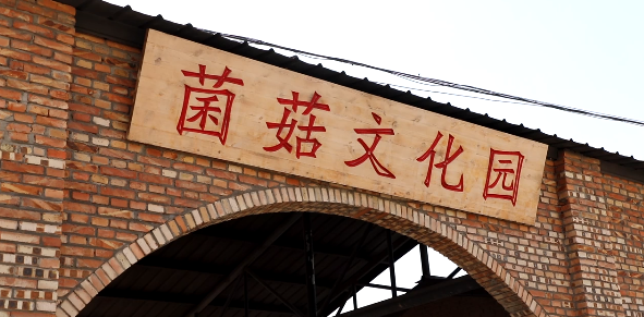 微信圖片_20230310154330.png