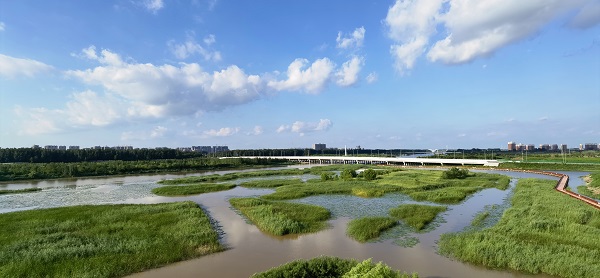 濕地綠洲.jpg