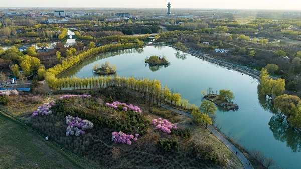 《濮上花開》                劉敬偉.jpg