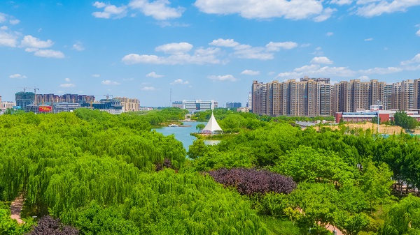 《城市“綠肺” 》       劉志洋.jpg