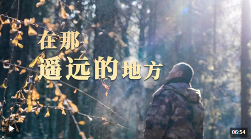 1709253817886.png