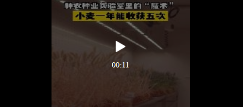1710841945590.png