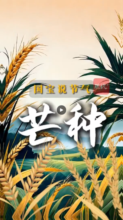 1717592039478.png