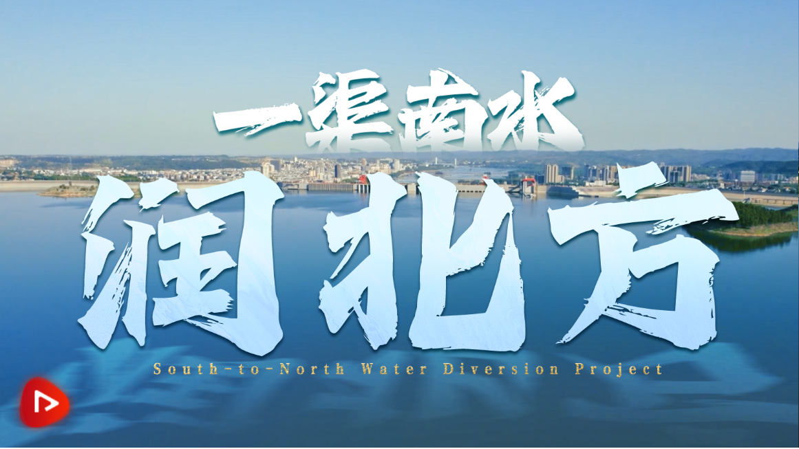 b930e859403a9885009fdf9f374517c0.png