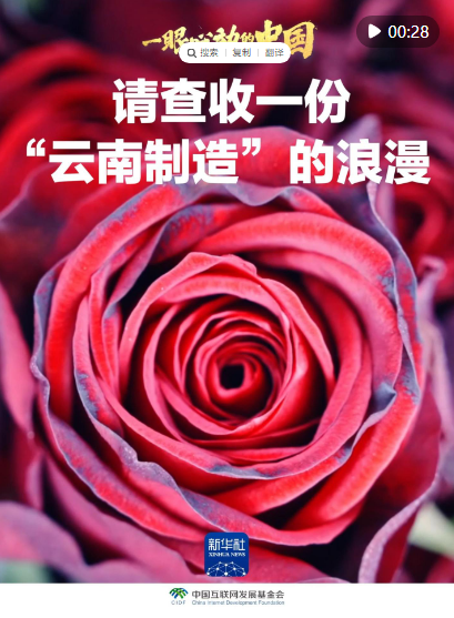 1742445118116.png