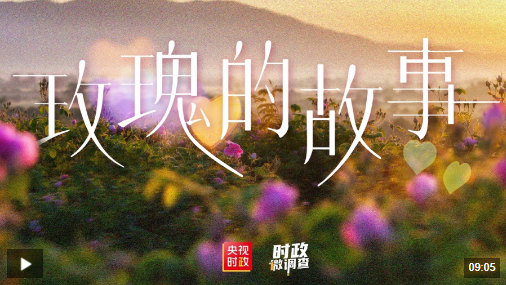 1742966414557.png