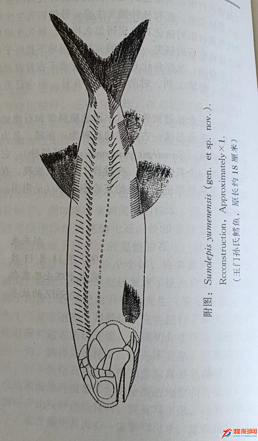 圖片1.png