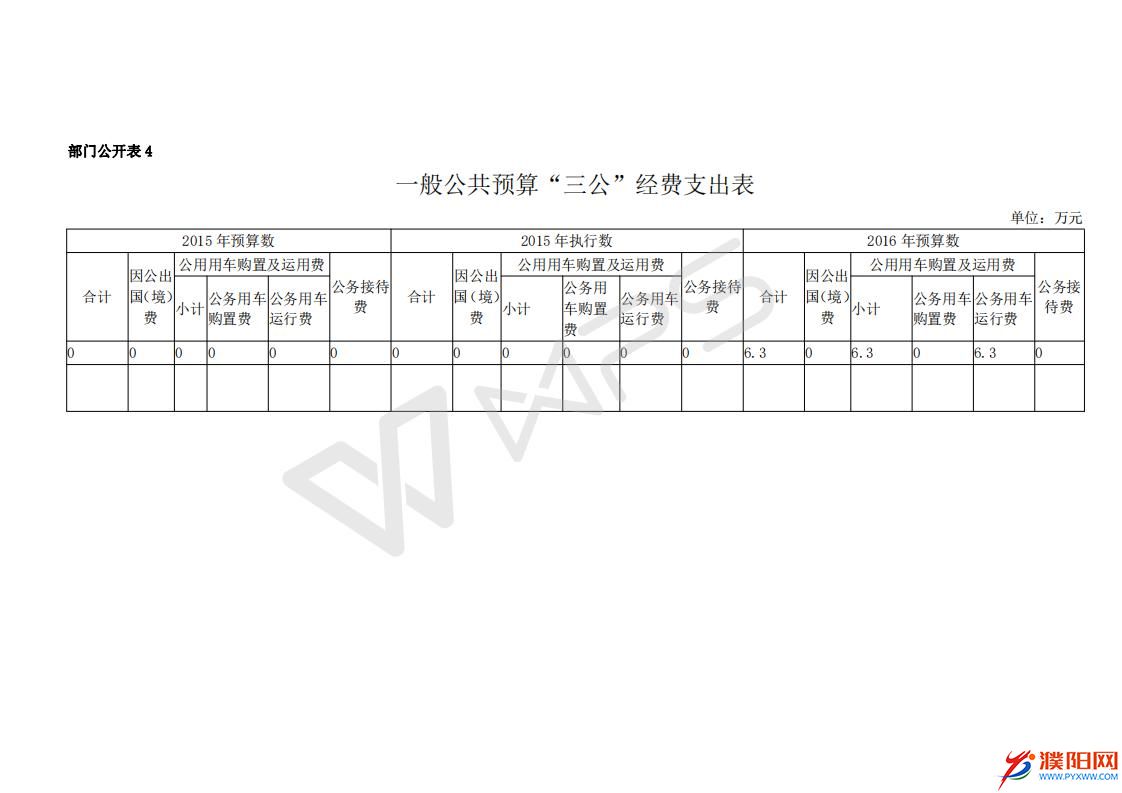 2016濮陽日?qǐng)?bào)社預(yù)算公開文件_12.jpg